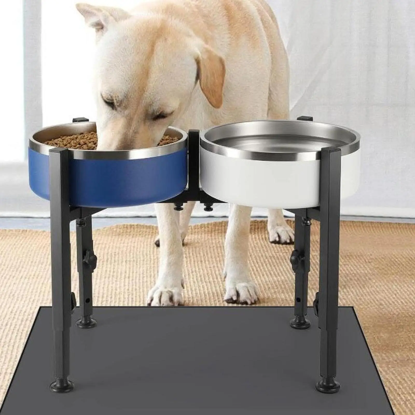 Vista general del soporte elevado para perros y gatos