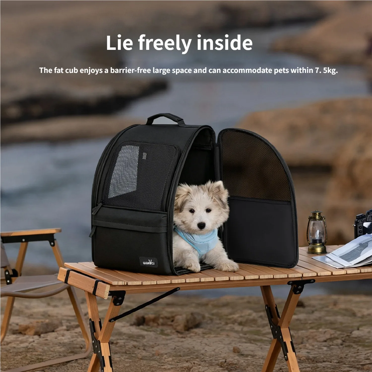 Mochila en exterior con mascota