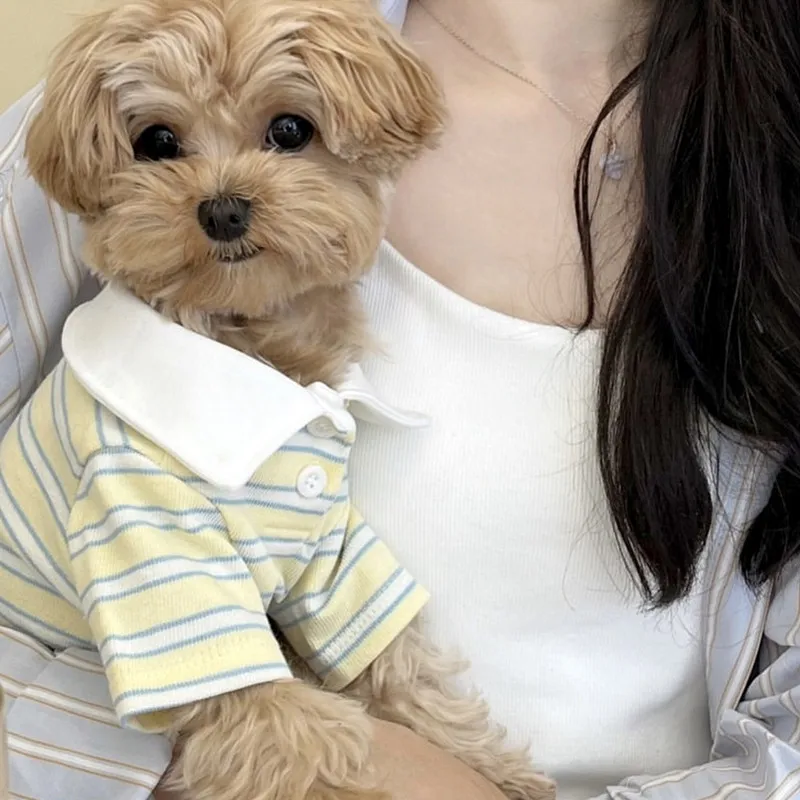 Camiseta polo de rayas para perro: refrescante de verano, Chihuahua - imagen 2