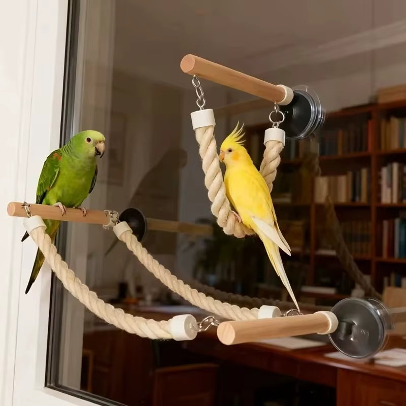 Columpio para loros con ventosa y escalera antideslizante - imagen 3