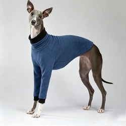 Camiseta perro cuello alto algodón elástico manga larga Galgo Italiano