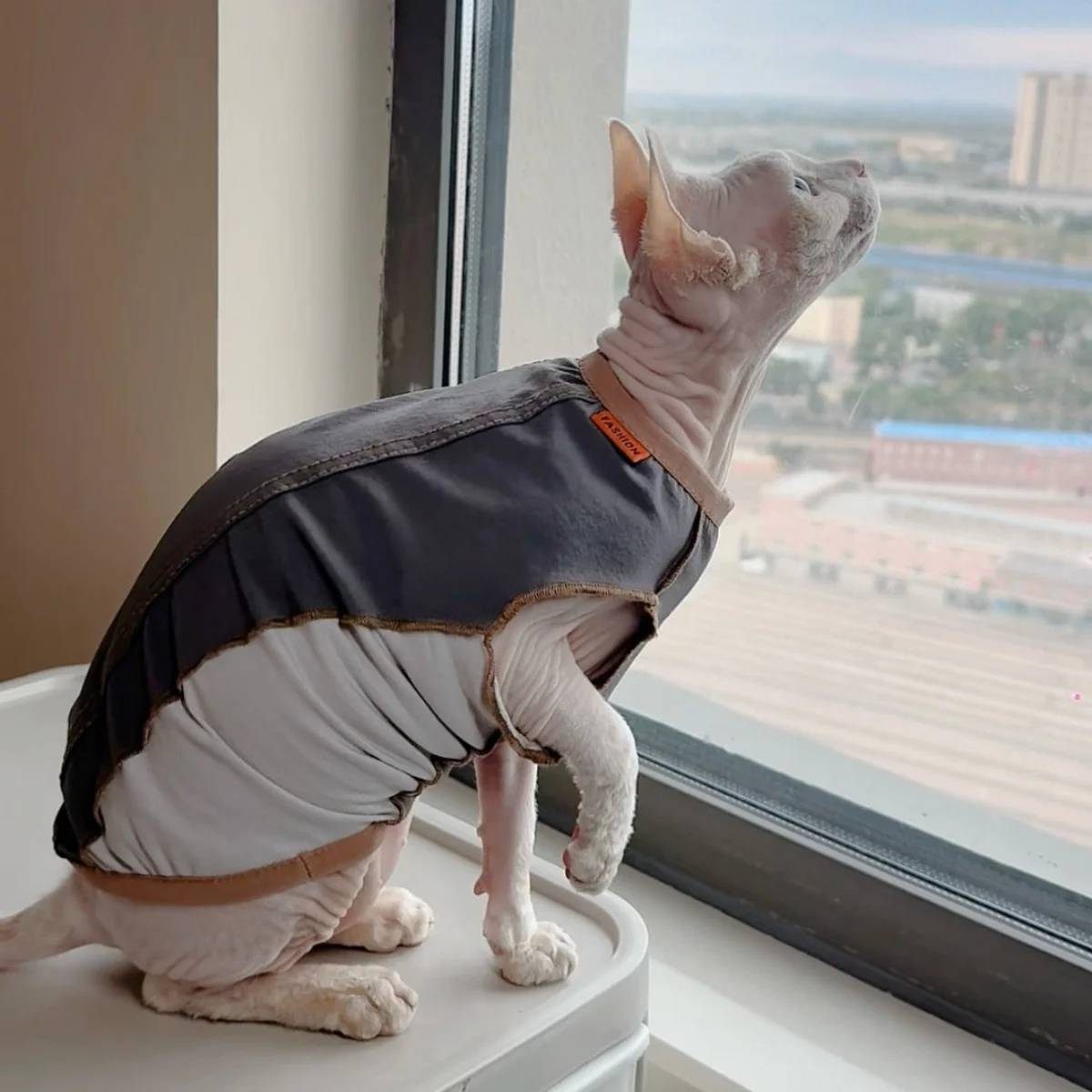Chaleco de algodón gris para gatos sin pelo, protección solar - imagen 4