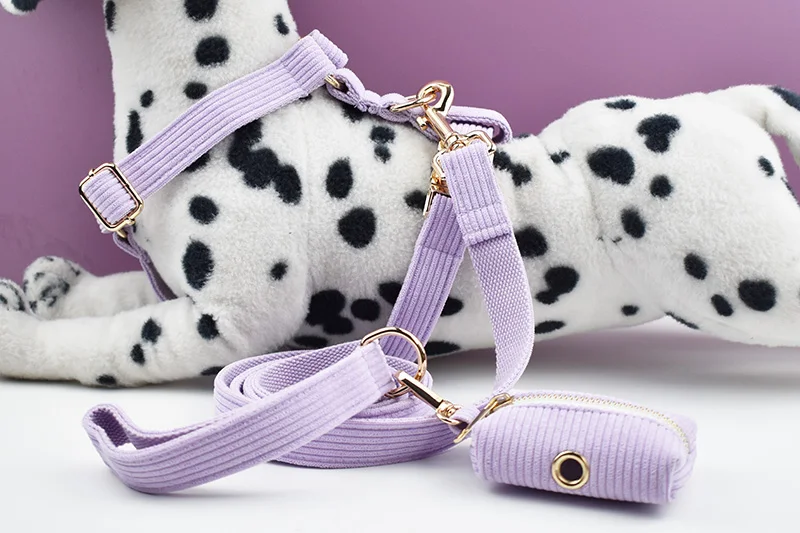 Collar de pana rosa con placa grabada