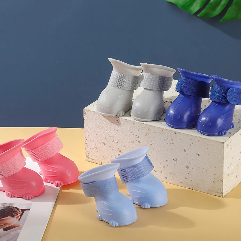 Perro corriendo en terreno húmedo con las zapatillas puestas