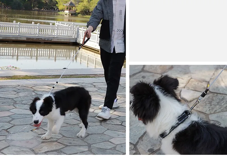 Correa reflectante para perros en uso diario