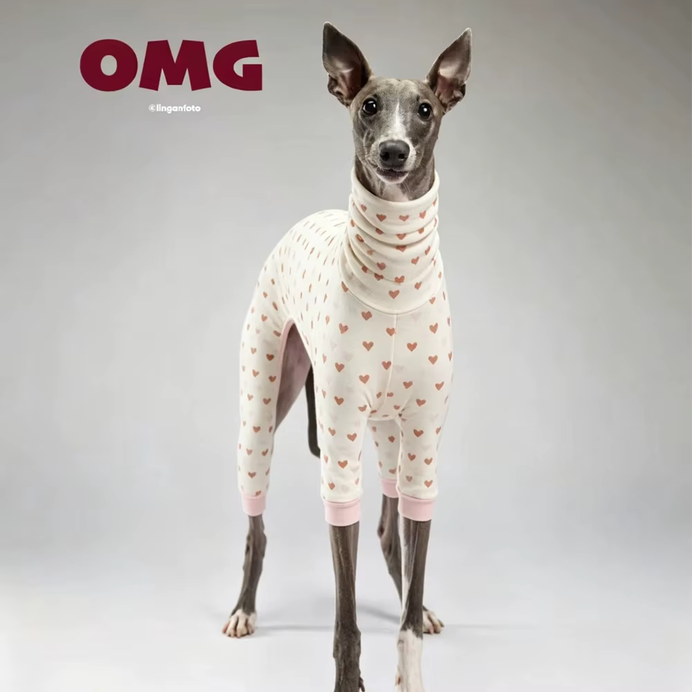 Pijama suave de cuello alto para Galgo Italiano y Whippet - imagen 2