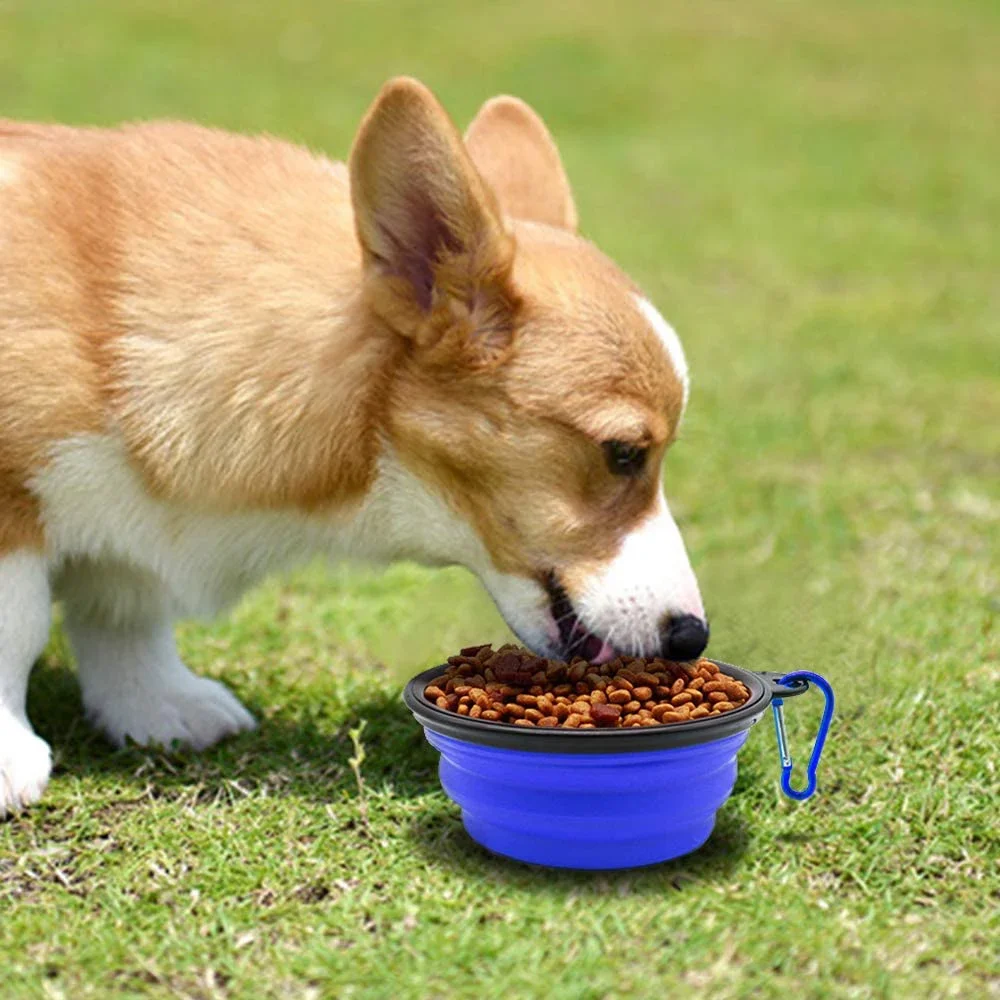 Cuenco de viaje plegable para perros y gatos con mosquetón - imagen 4