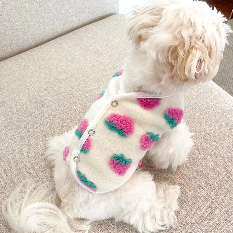 Prenda con estilo práctico para mascotas