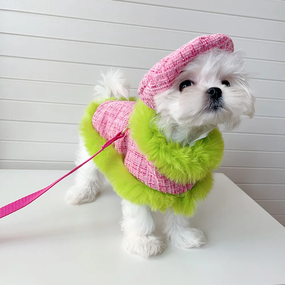 Paseo con estilo