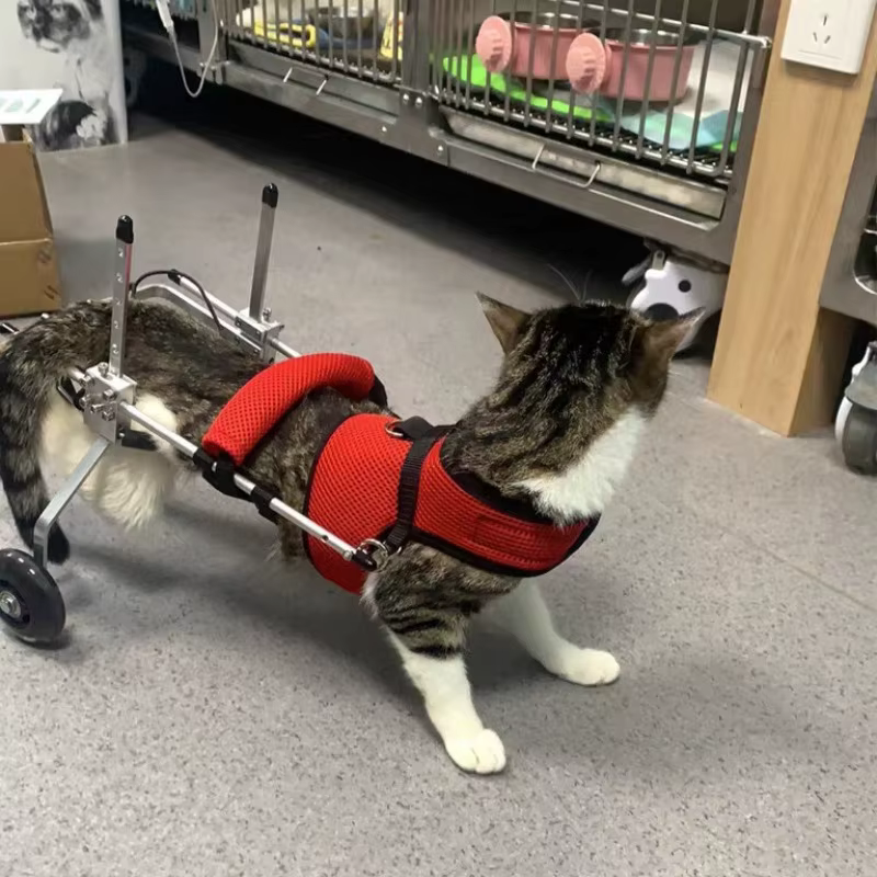 Silla de ruedas para gatos y perros mayores o hemipléjicos – Coche de movilidad ajustable - imagen 4