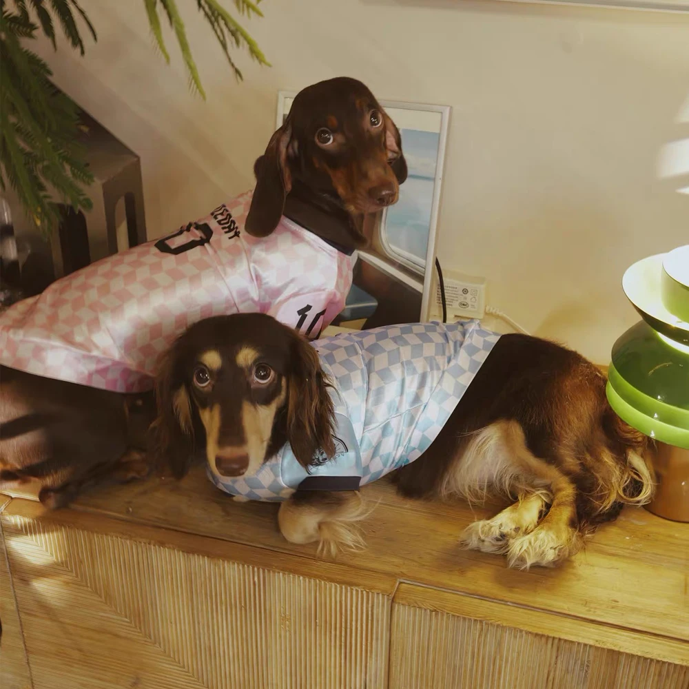 Chaleco transpirable refrescante para perros salchicha Dachshund - imagen 3