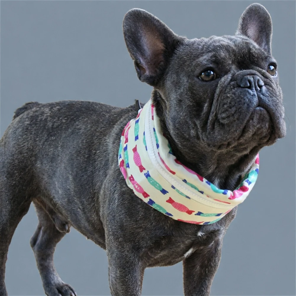 Collar refrescante de gel para perros: enfriador de cuello - imagen 5