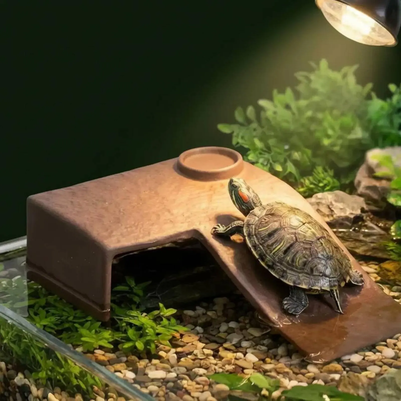 Rampa cerámica y cueva escondite 2 en 1 para tortugas de mascota - imagen 5