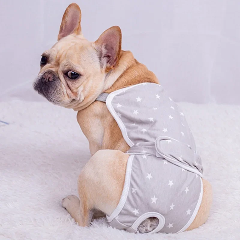 Ropa interior sanitaria para perros pequeños