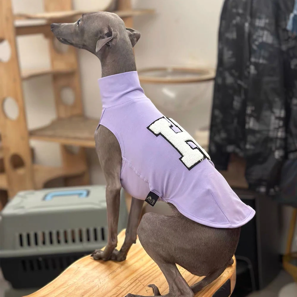 Chaleco suave para galgo italiano en uso