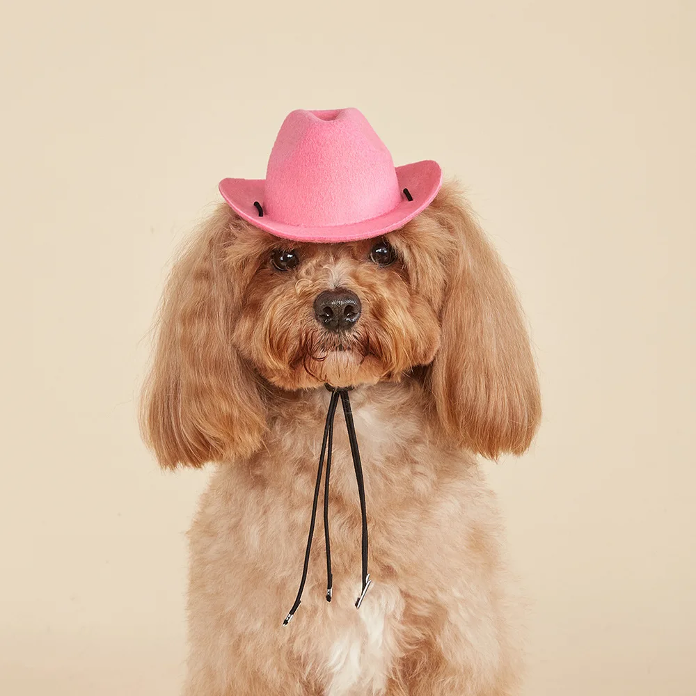 Sombrero vaquero para perros en paseo
