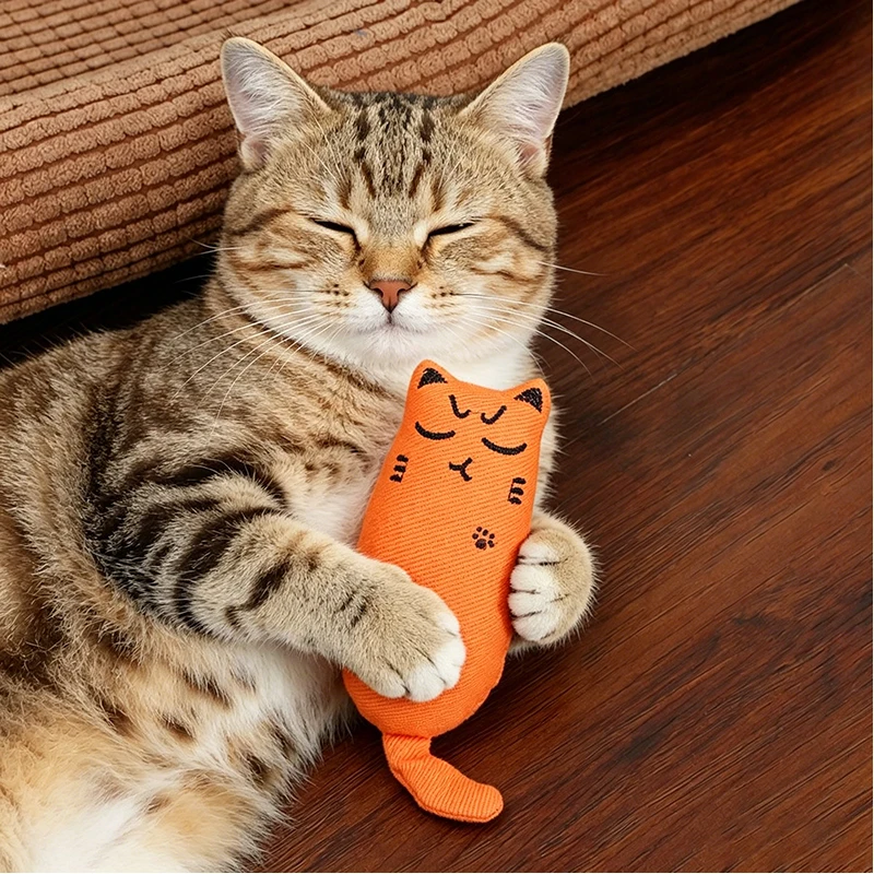 Vista frontal del juguete de peluche para gatos