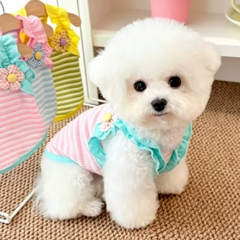 Chaleco floral para perros y gatos pequeños – Ropa de verano