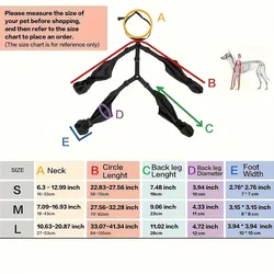 Botas impermeables para perros: protectores de patitas ajustables