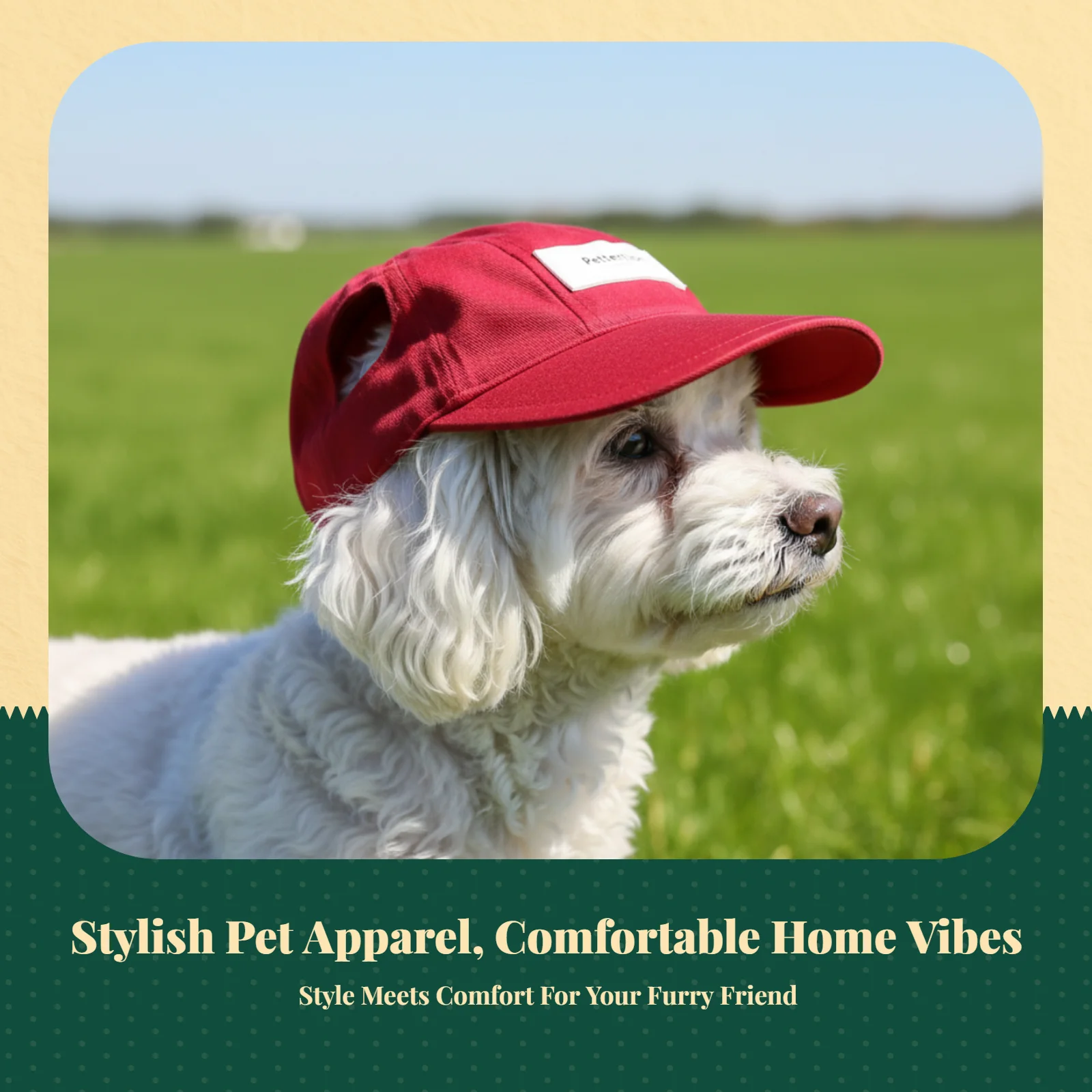 Gorra béisbol para perros pequeños – Cómoda para paseos - imagen 5