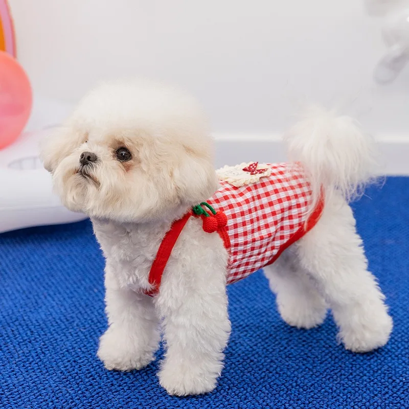 Chaleco transpirable de cerezas para perros pequeños Chihuahua - imagen 3