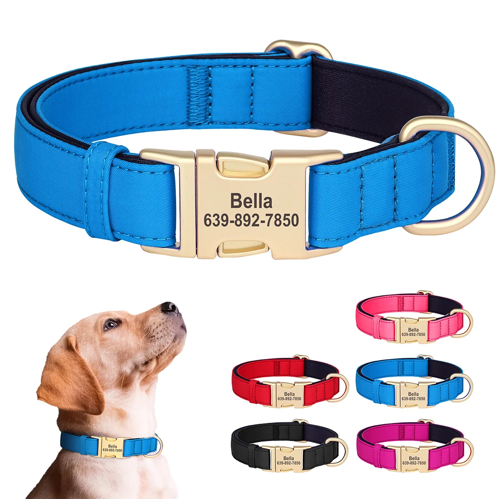 Collar para perros grandes y medianos