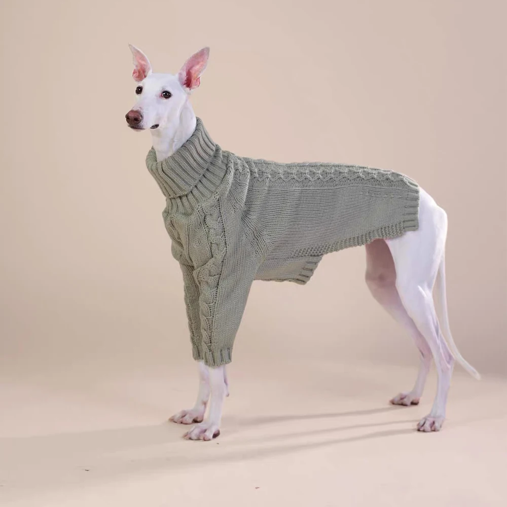 Suéter cuello alto blanco para perros Whippet, Greyhound y Bedlington