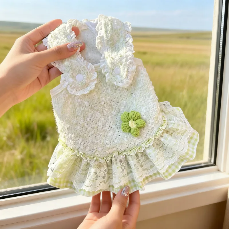 Perrofeto con vestido de princesa de encaje rosa