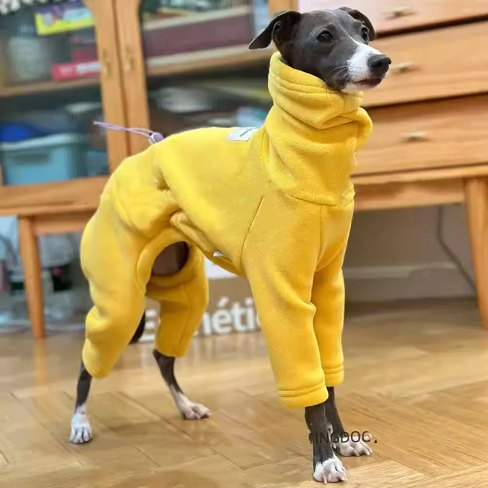 Ejemplo de suéter puesto a un caniche
