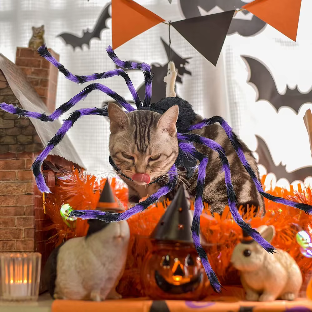 Disfraz de araña para gatos y perros pequeños en Halloween - imagen 5