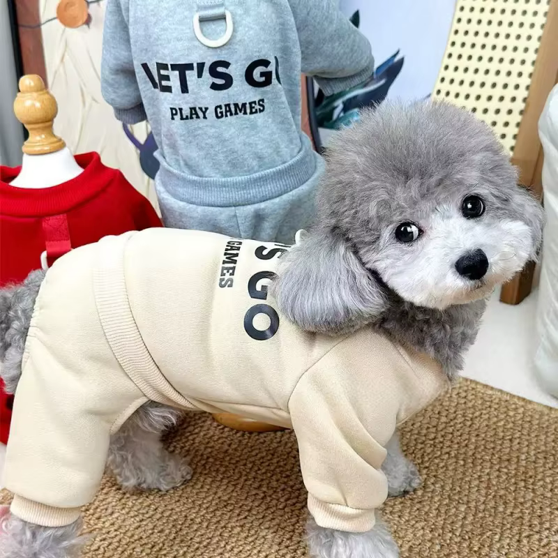 Caniche con el mono como disfraz de otoño