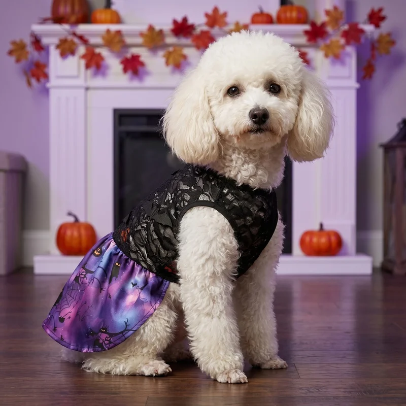 Disfraz murciélago Halloween para gatos y perros – Tutú de encaje - imagen 3