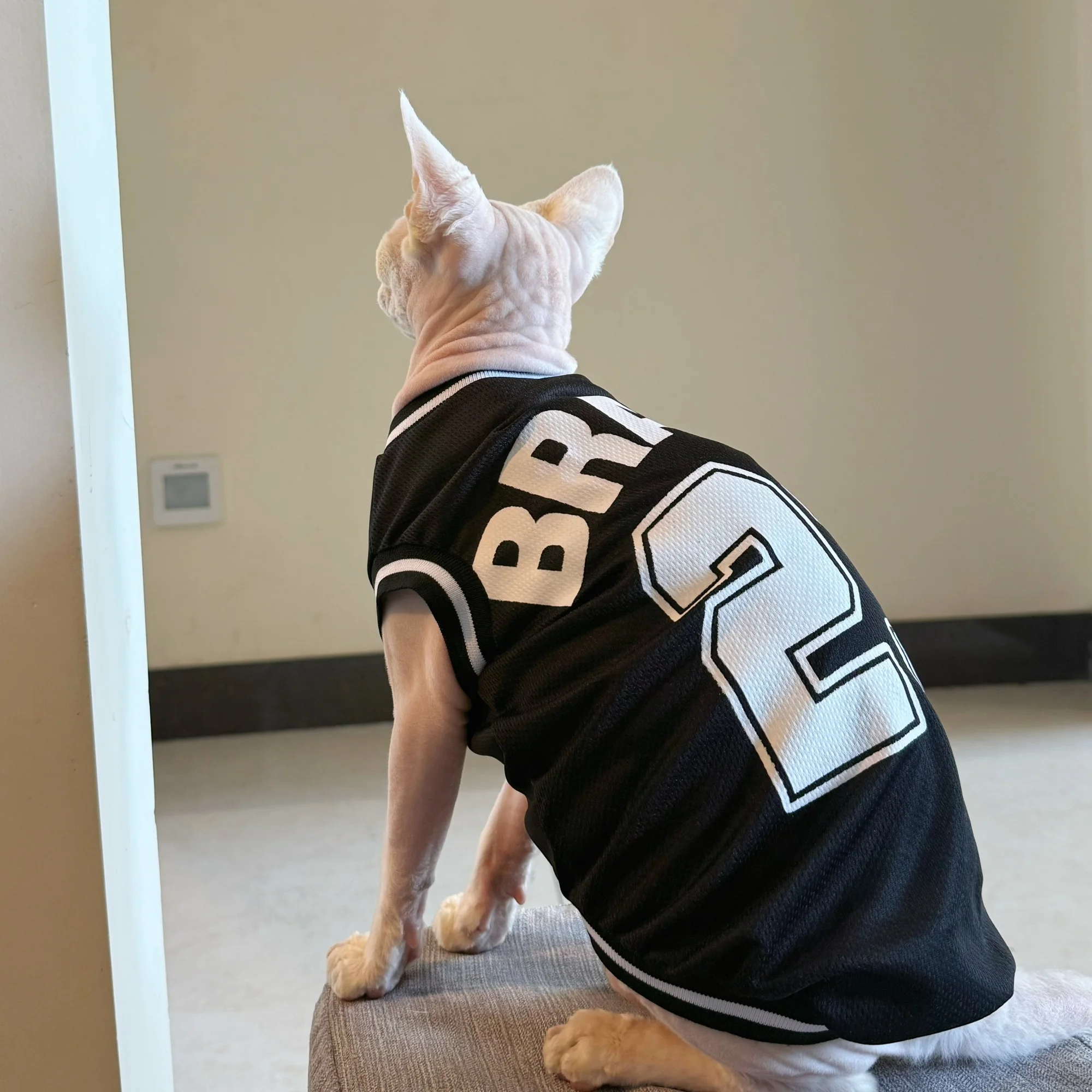 Camiseta de verano negra ligera para gatos