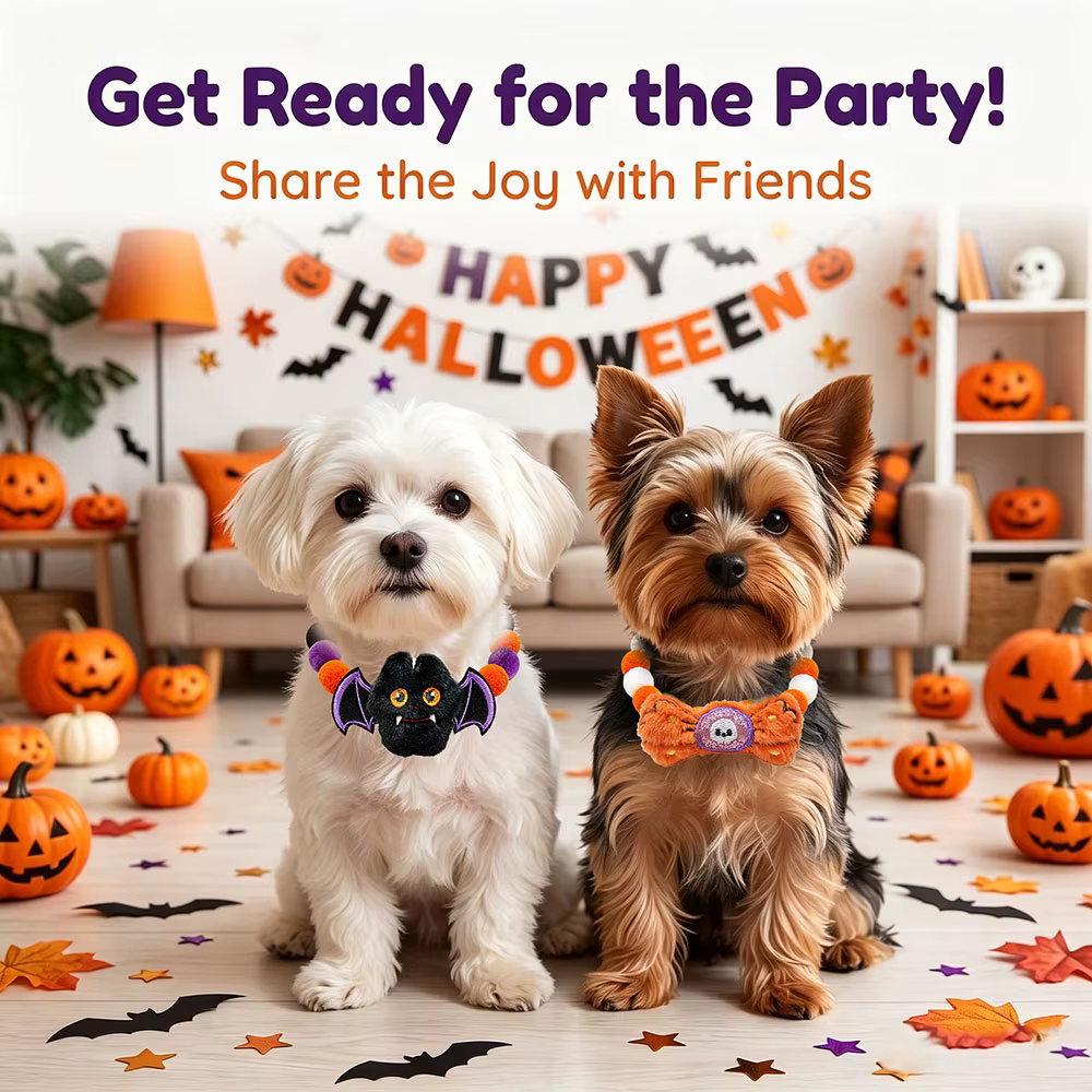 Collares de Halloween con Pompones para Gatitos y Cachorros Pequeños