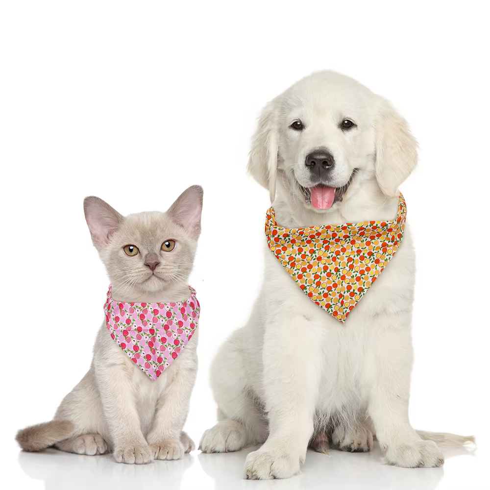 Bandana ajustable con estampado frutal para perros talla S/M - imagen 2