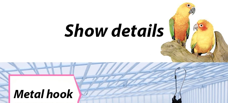 Conjunto de accesorios para aves