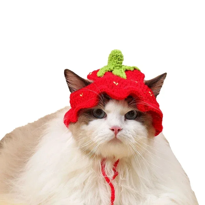 Gorro cálido de invierno para gatos y cachorros - imagen 3