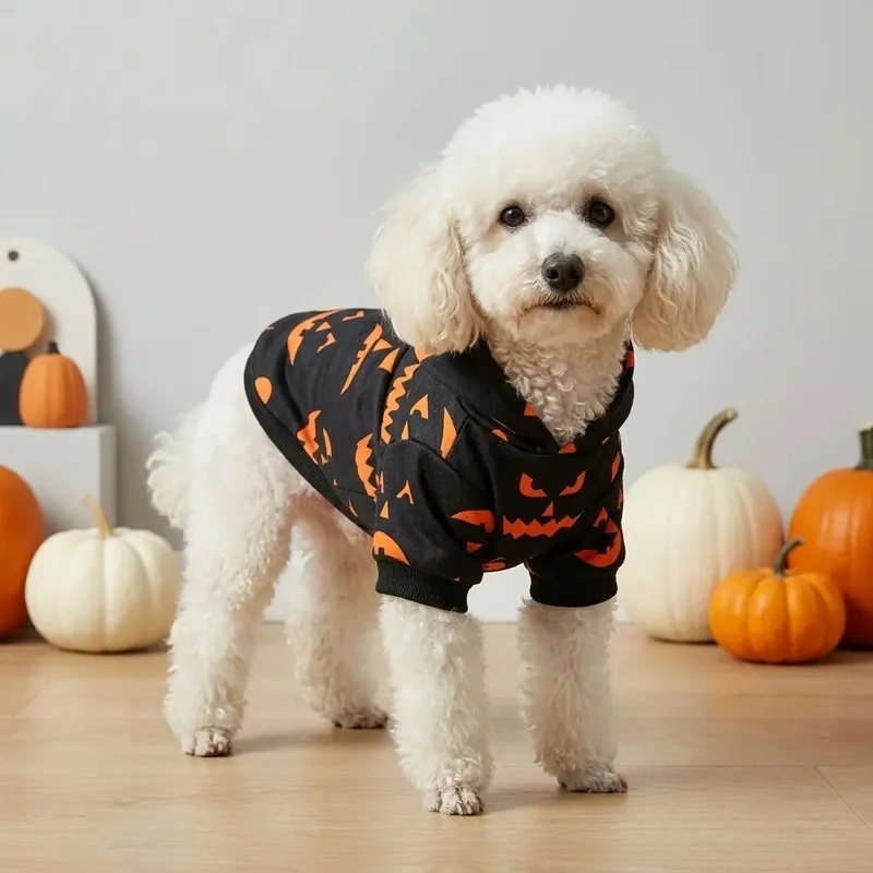 Sudadera Halloween Calabaza para Perros y Gatos - imagen 4