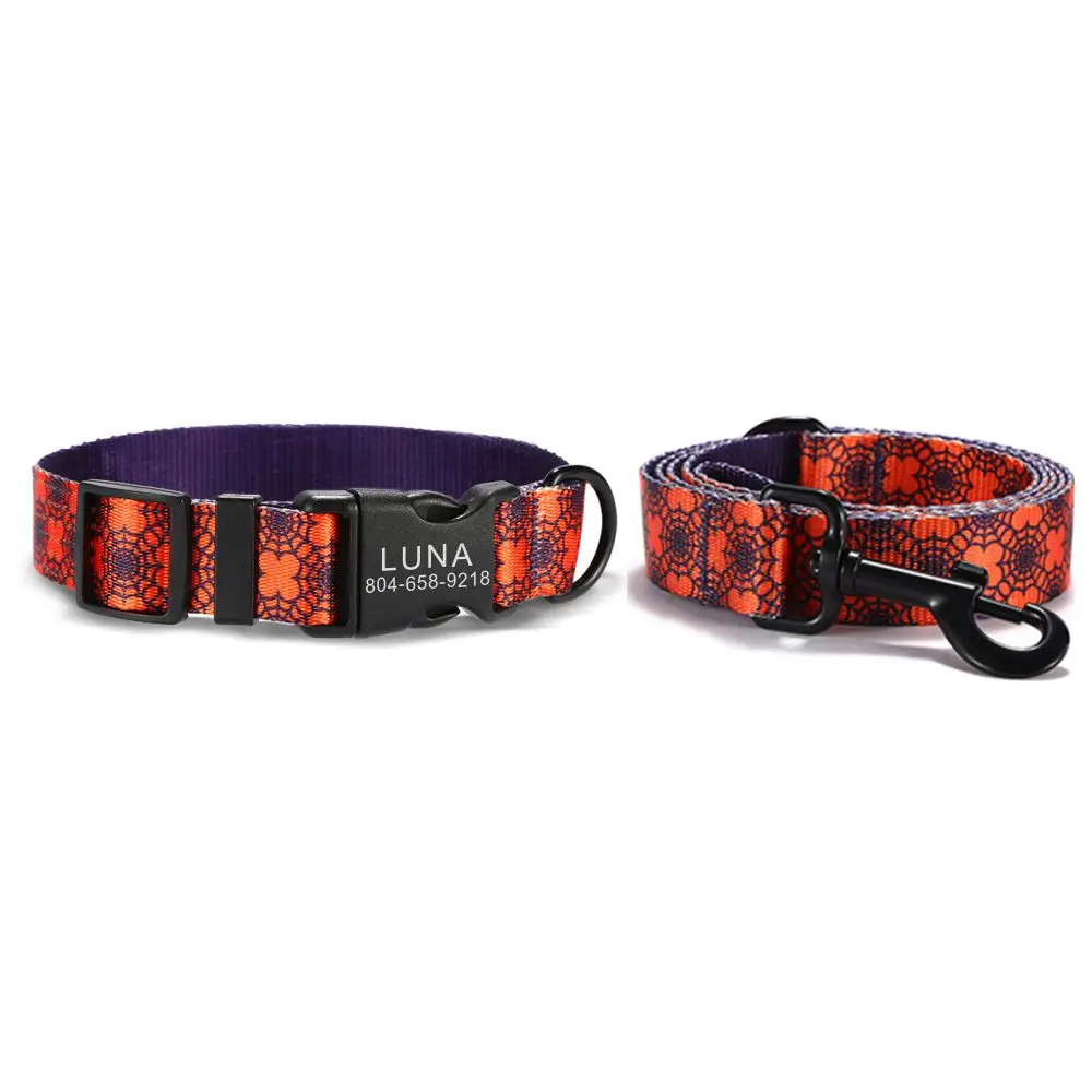 Collar en gato siamés
