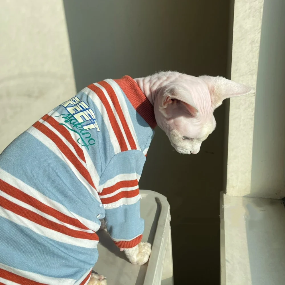 Camiseta algodón rayas manga larga para gato Sphynx - imagen 4