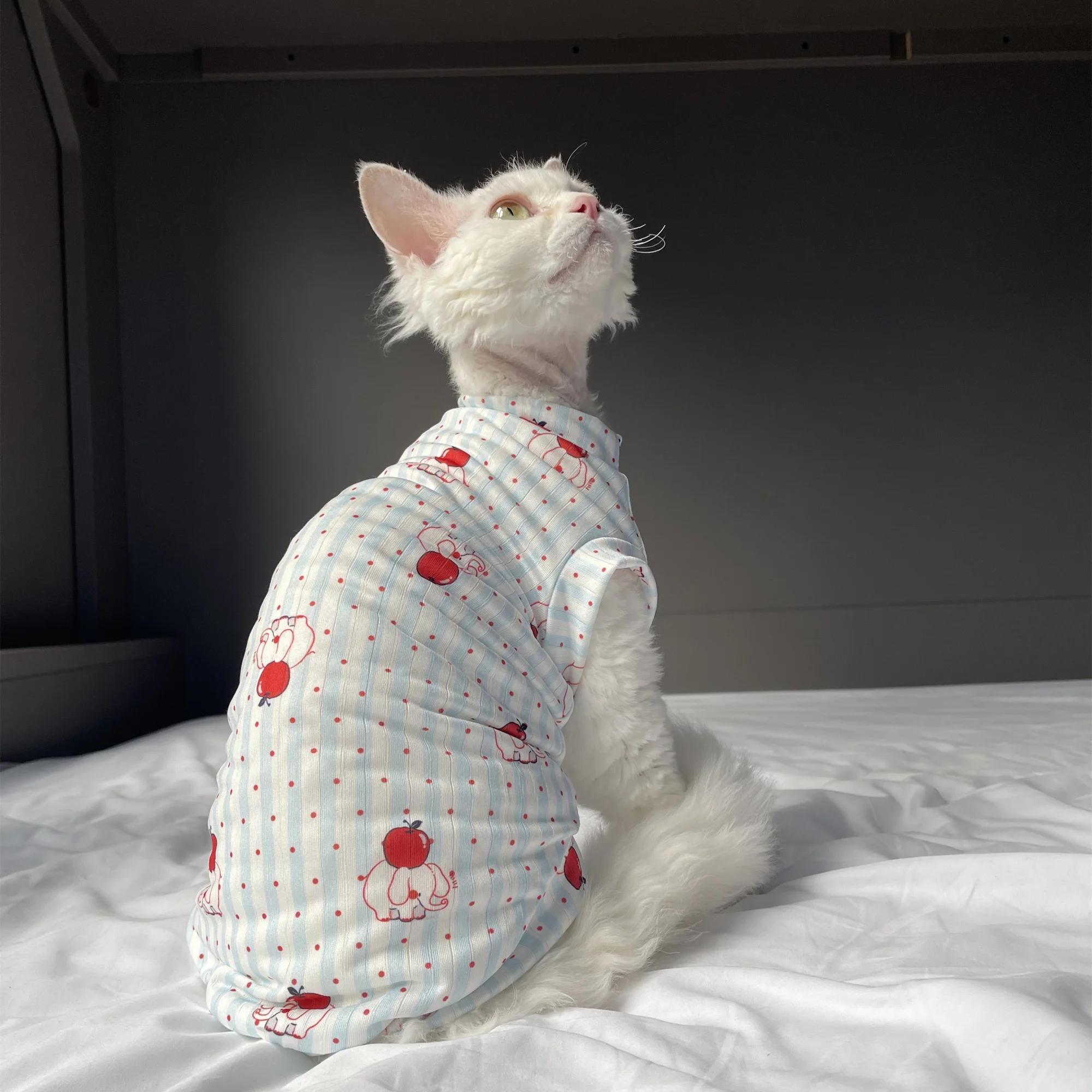 Camiseta transpirable de verano para gatos Sphynx y Devon Rex - imagen 2
