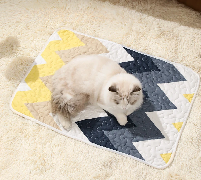 Alfombrilla usada por un gato sobre el suelo