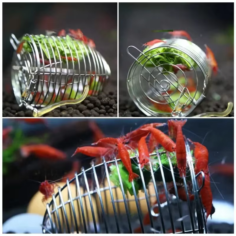 Plato de alimentación para camarones de acero inoxidable con cuenco - imagen 4