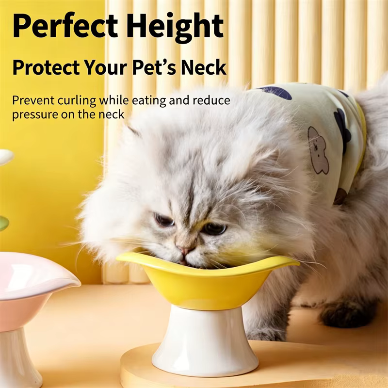 Cuenco elevado cerámica crema para gatos y cachorros: anti-manchas - imagen 5