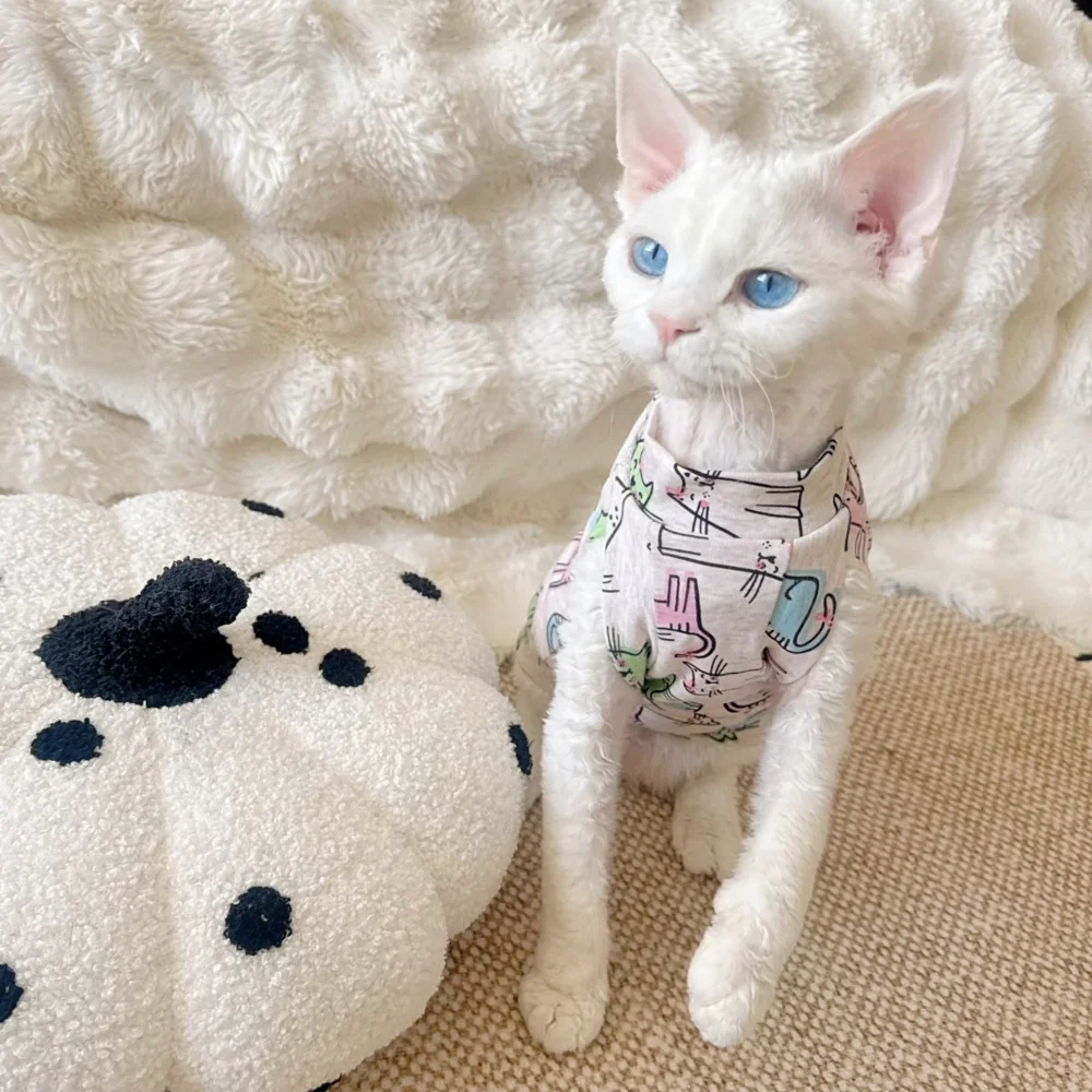Uso diario del chaleco para gato