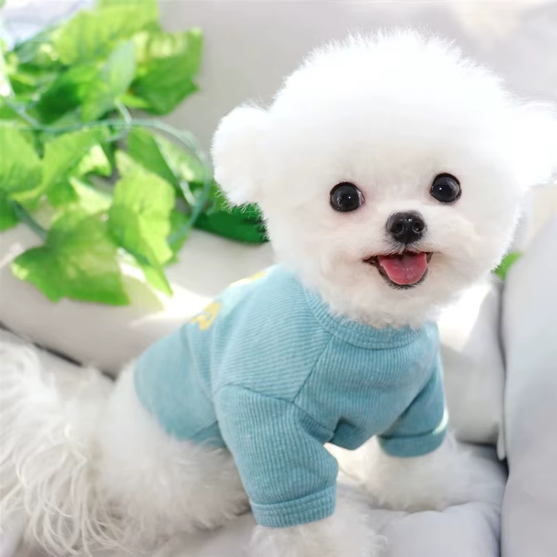 Camiseta veraniega para perros y gatos con estampado de oso – Bichón