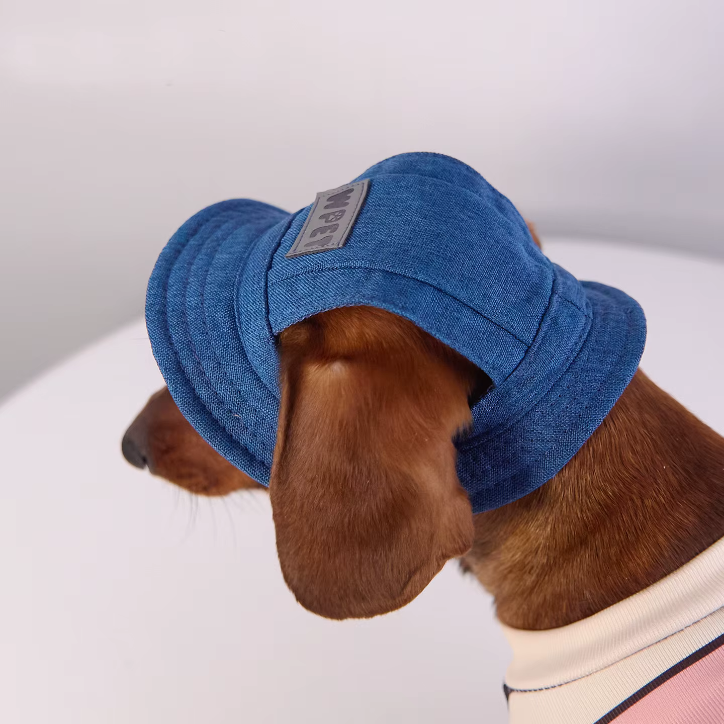 Gorra para perro con visera y protección solar en paseos - imagen 4