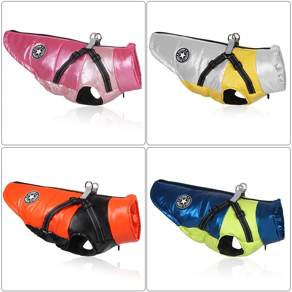 Perro pequeño usando el chaleco en exteriores