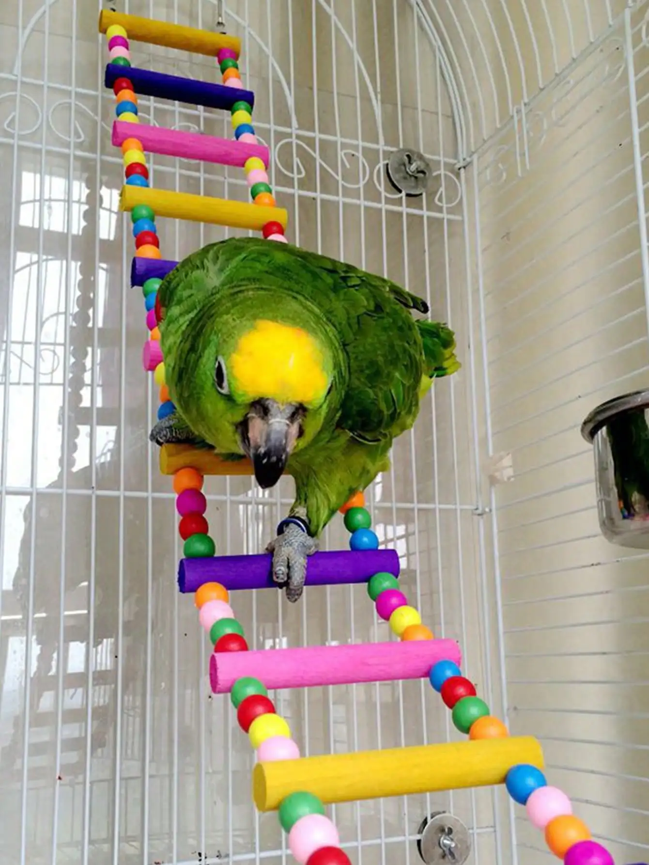 Escalera de madera multicolor para pájaros