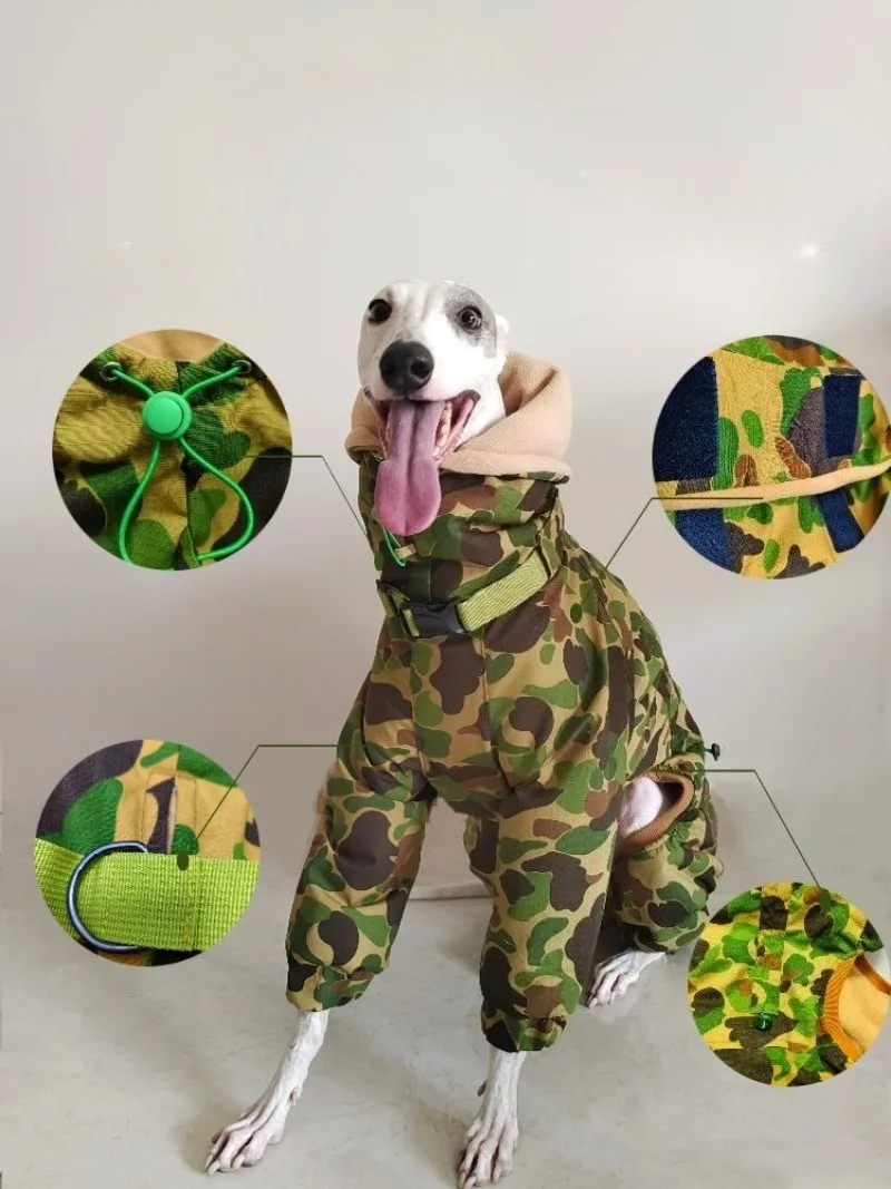 Perro jugando en la nieve con abrigo LZJV